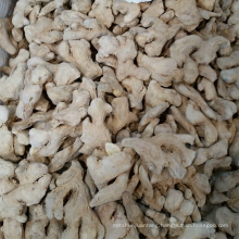 China supply new crop white and light yellow dehydrated dried ginger